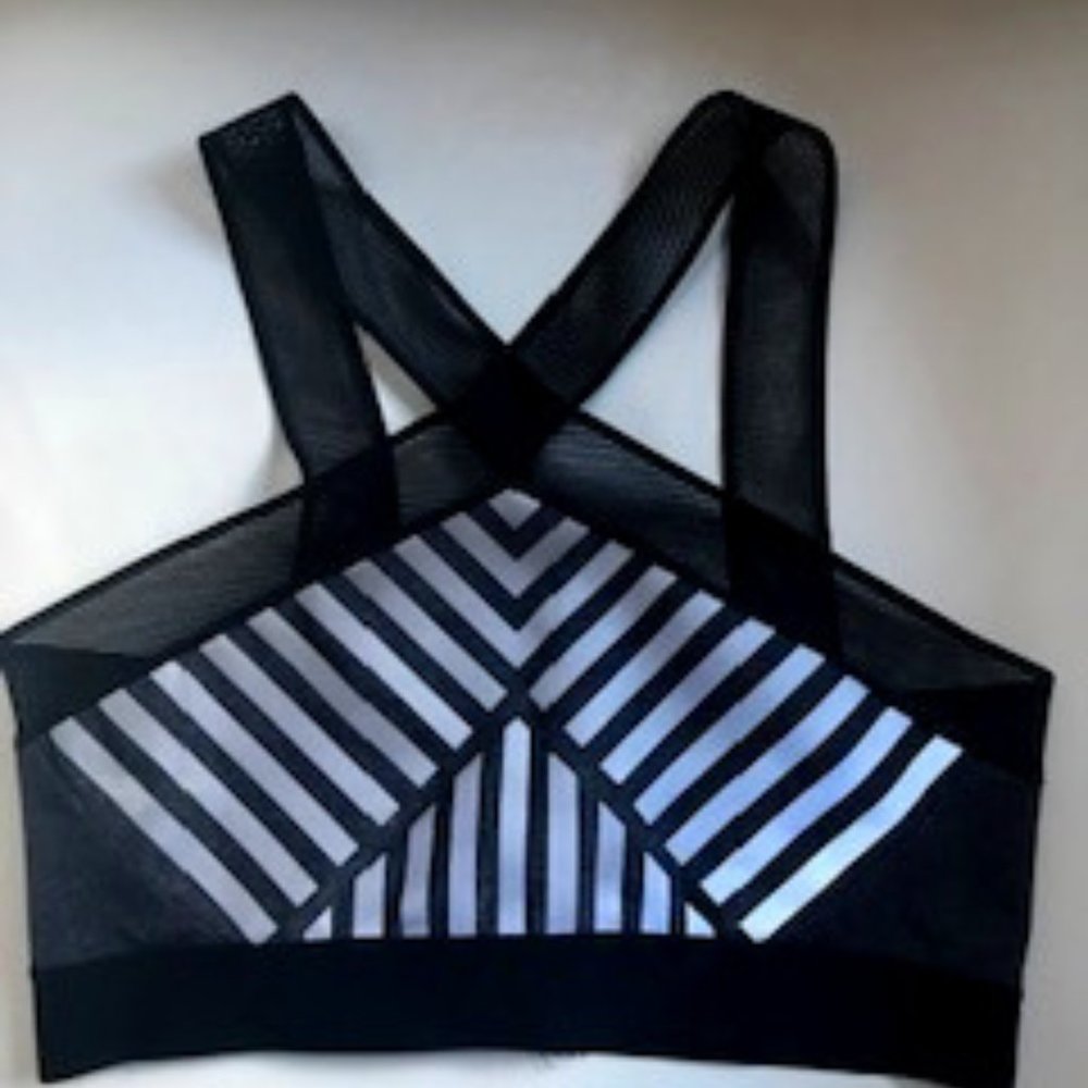 NWOT Heroine Sport Mesh-trimmed Sports Bra